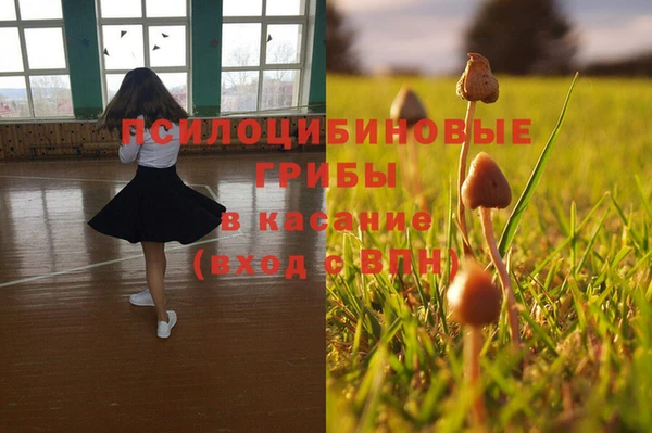 каннабис Алексеевка