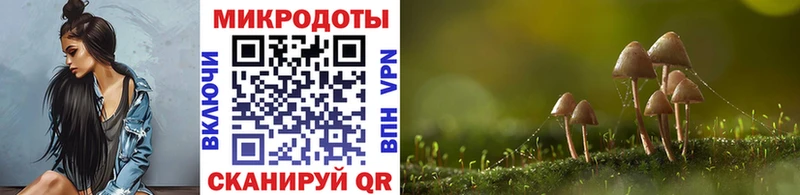 Псилоцибиновые грибы мицелий  Кореновск 